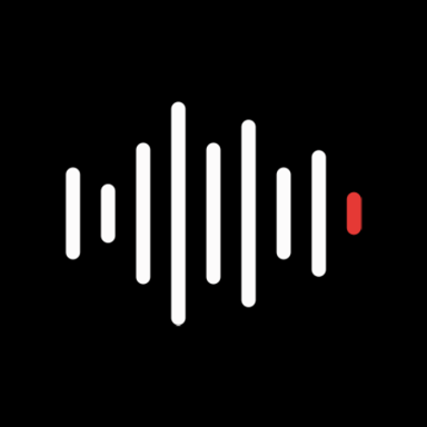 Voice Recorder - Voice Notes