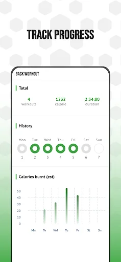Progress tracking dashboard showing total workouts, completion calendar, and daily calories burned bar chart data