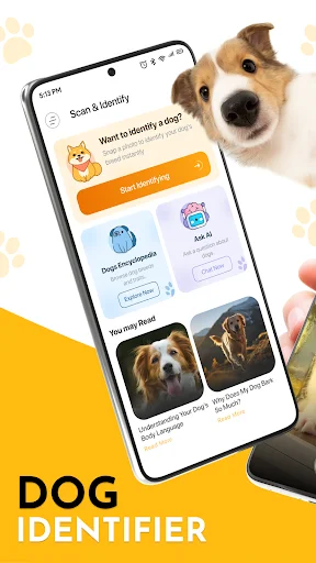 Dog Breed Scanner app home screen with scan and identify feature, dog encyclopedia, and breed recommendations
