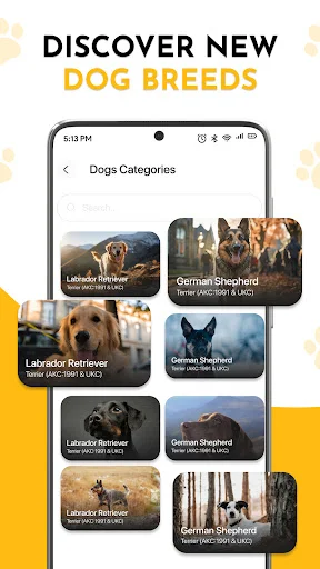 Dogs Categories browse screen with grid layout of dog breed categories for exploration and discovery