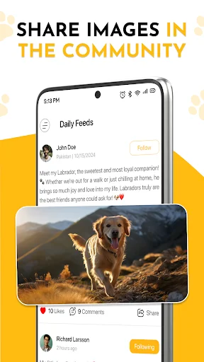 Community daily feed for sharing dog photos, liking posts, and following other dog enthusiasts