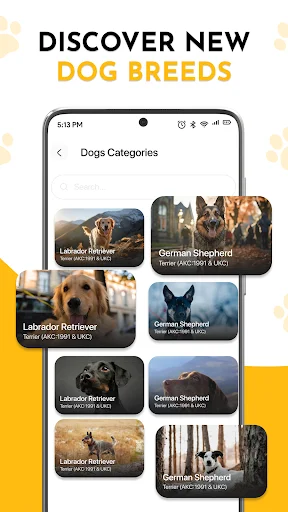 Dogs categories page browsing various breeds including German Shepherds and Labrador Retrievers