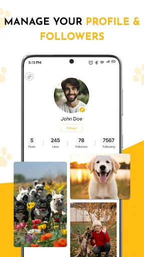 User profile page displaying follower count, social engagement statistics, and shared dog photos