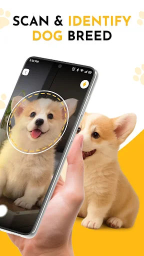 Real-time dog breed scanning interface with circular targeting overlay for camera-based dog identification