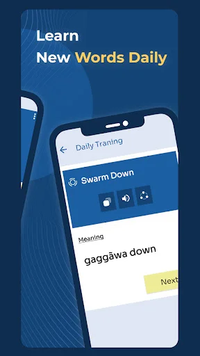 Interactive lessons for learning new Hausa words daily with 'Swarm Down' translation and audio controls