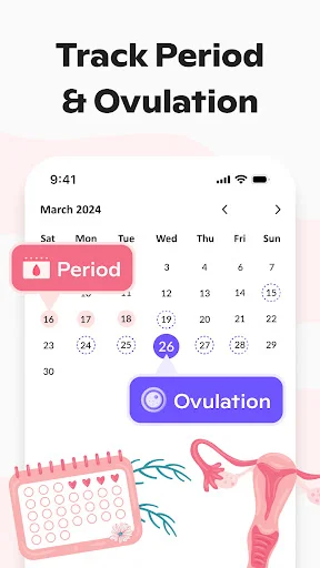 Calendar interface for tracking period and ovulation dates with Period and Ovulation buttons and fertility illustrations