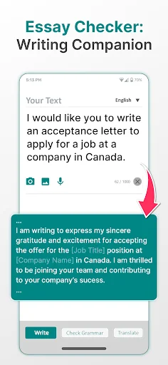 Essay writing companion interface showing job application letter enhancement and professional writing assistance