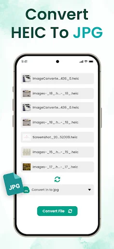 Convert HEIC To JPG screen with list of HEIC image files selected for conversion and green Convert File button to start the process