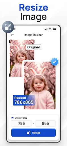 Image resizer app with original and resized preview showing custom dimensions 786x865 pixels