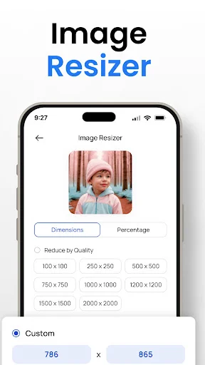Image Resizer tool with preset dimensions and custom pixel size input settings