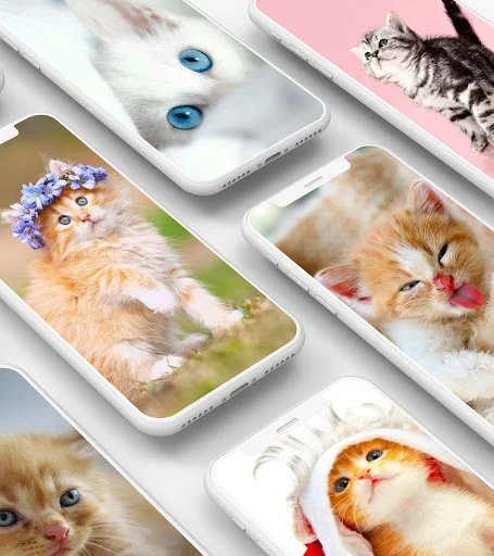 Cute kitten wallpaper app showing various adorable cat wallpaper options with decorative themes
