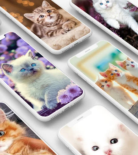 Cute kitten wallpaper collection displaying multiple adorable cat wallpaper designs on mobile devices