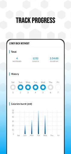 Low Back Workout app progress tracker displaying total score, weekly workout history, and daily calories burned analytics.