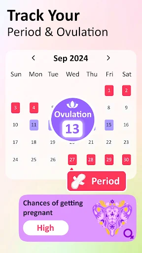 Period and ovulation calendar tracker showing cycle dates, ovulation timing, and pregnancy chance prediction