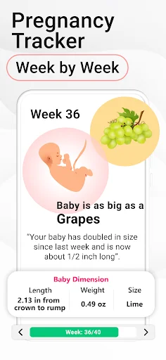 Week 36 pregnancy tracker showing baby size compared to grapes with measurements including crown-to-rump length and weight progression