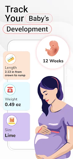 Baby development tracker at 12 weeks displaying measurements: length 2.13 inches, weight 0.49 ounces, with size comparisons
