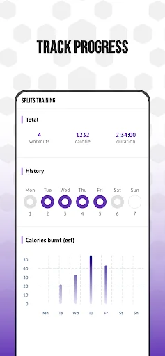 Progress tracking dashboard showing total workouts, workout minutes, weekly activity history, and daily calories burned chart