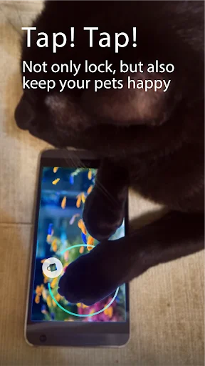 Tap Tap feature with pet-safe screen lock allowing harmless tapping while protecting device functionality
