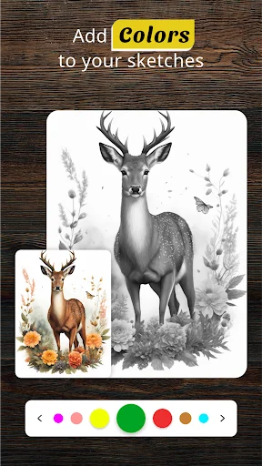 Sketch coloring feature displaying black and white deer drawing and colored version with interactive color palette below