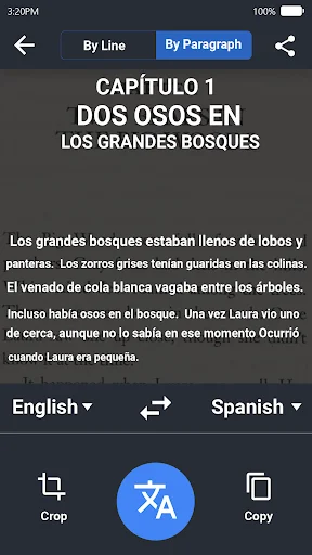 Text translator interface with Spanish paragraph text translated line-by-line to English translation