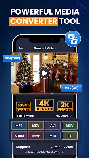 Video format converter displaying preview with 4K Ultra HD, 1080p, and 2K resolution options; supports MP4, MKV, AVI, MOV, WEBM, MPG, MTS, TS formats
