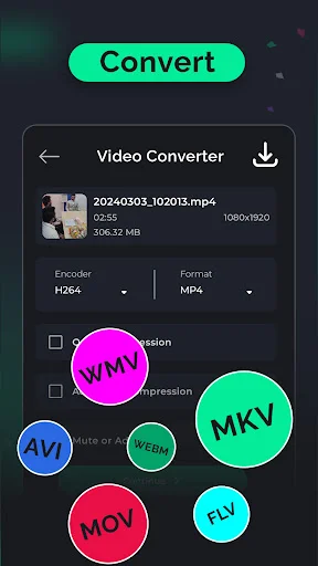 Video converter tool displaying format selection with WMV, AVI, MOV, MKV, FLV, WEBM options, H264 encoder, MP4 format, and conversion settings