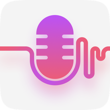 Voice Recorder